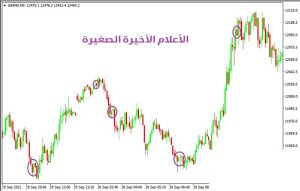 الأعلام الأخيرة الصغيرة