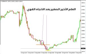 العلم الأخير الصغير بعد الاتجاه القوي