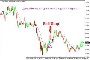 القنوات الصغيرة (Micro Channels) - القنوات الصغیرة