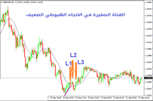 القنوات الصغيرة (Micro Channels) - القنوات الصغیرة