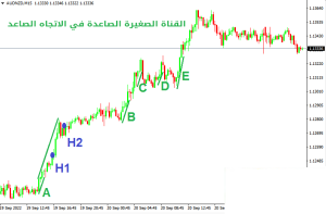 القنوات الصغيرة (Micro Channels) - القنوات الصغیرة