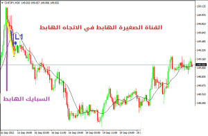 القنوات الصغيرة (Micro Channels) - القنوات الصغیرة