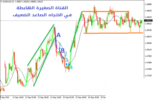 القنوات الصغيرة (Micro Channels) - القنوات الصغیرة