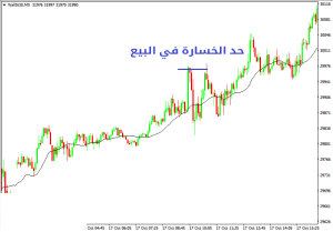 تسجيل الأمر في الفوركس وحركة السعر - تسجیل الأمر