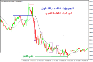 كيفية التداول في الاتجاه الهابط القوي - الاتجاه الهابط القوی