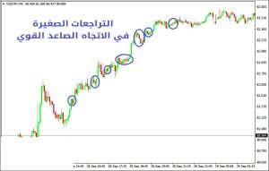 أنواع الاتجاهات في الأسواق المالية وكيفية التداول فيها - الاتجاهات