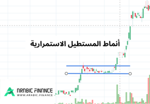 نماذج المستطيل الاستمرارية