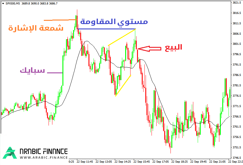 مستوى الدعم والمقاومة في حركة السعر