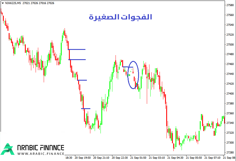 الفجوة الصغيرة (Micro Gap)