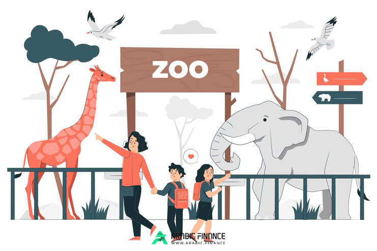 موقع Zoo للاستثمار | ما هي علمة Zoo الرقمية