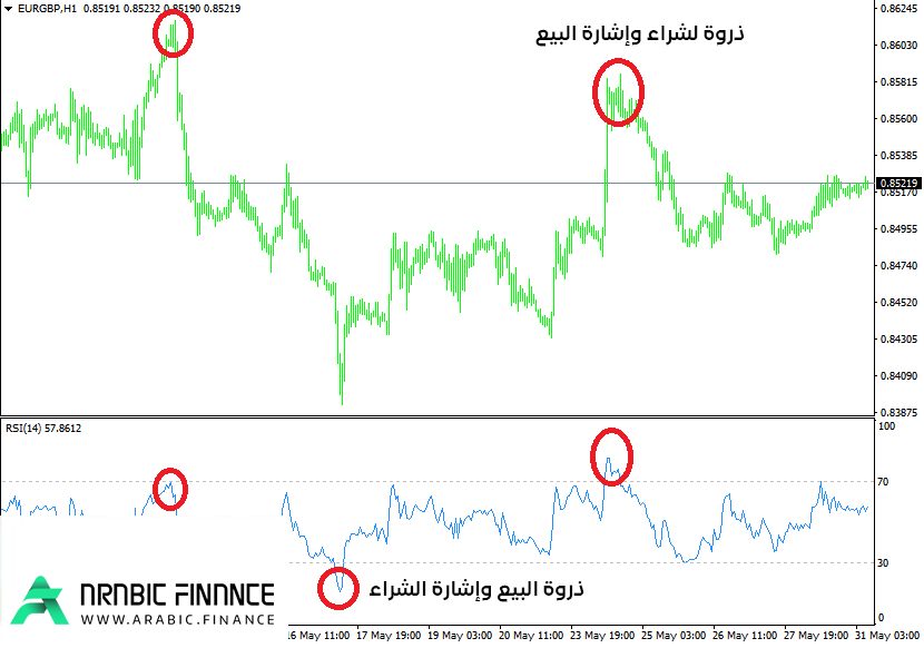 التدريب على مؤشر RSI في الفوركس