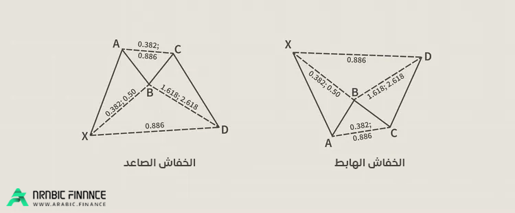 نموذج الخفاش