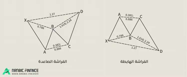 نموذج الفراشة