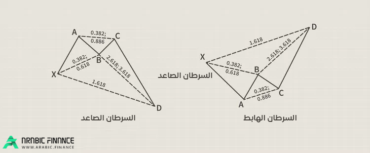 نموذج السرطان